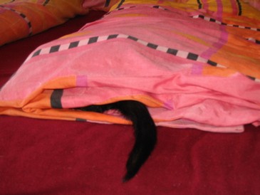 Blbinky 088.JPG
